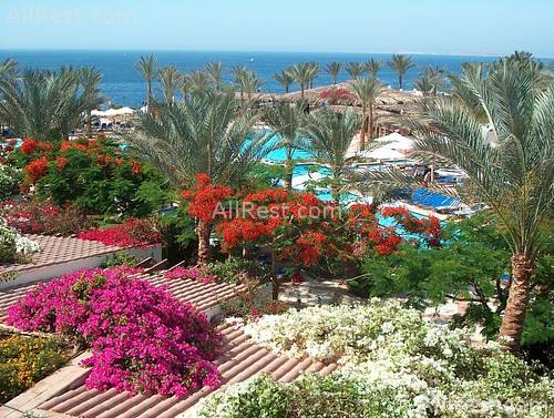 Iberotel Club Fanara & Residence 20
